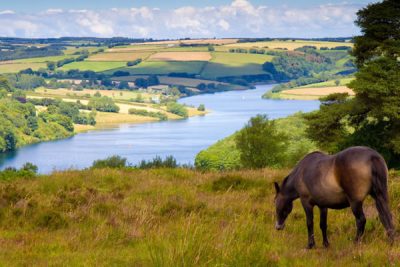 Wimbleball Lake